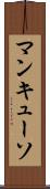 マンキューソ Scroll