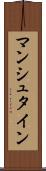 マンシュタイン Scroll