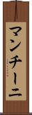 マンチーニ Scroll