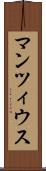 マンツィウス Scroll