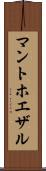 マントホエザル Scroll