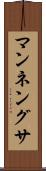 マンネングサ Scroll
