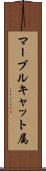 マーブルキャット属 Scroll