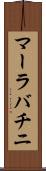 マーラバチニ Scroll