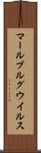 マールブルグウイルス Scroll