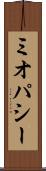 ミオパシー Scroll