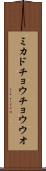 ミカドチョウチョウウオ Scroll