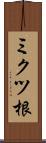 ミクツ根 Scroll
