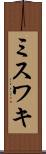 ミスワキ Scroll