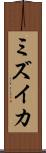 ミズイカ Scroll