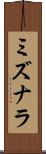 ミズナラ Scroll