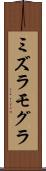 ミズラモグラ Scroll