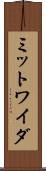ミットワイダ Scroll