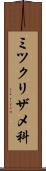 ミツクリザメ科 Scroll