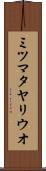 ミツマタヤリウオ Scroll