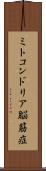 ミトコンドリア脳筋症 Scroll