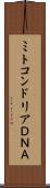 ミトコンドリアＤＮＡ Scroll