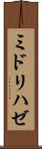 ミドリハゼ Scroll