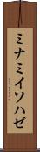 ミナミイソハゼ Scroll