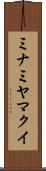 ミナミヤマクイ Scroll