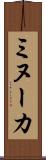 ミヌーカ Scroll