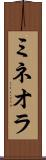 ミネオラ Scroll