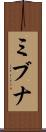 ミブナ Scroll