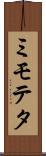 ミモテタ Scroll