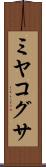 ミヤコグサ Scroll