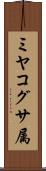 ミヤコグサ属 Scroll
