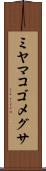 ミヤマコゴメグサ Scroll