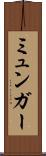 ミュンガー Scroll