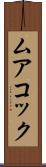 ムアコック Scroll
