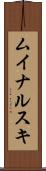 ムイナルスキ Scroll