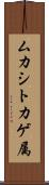 ムカシトカゲ属 Scroll
