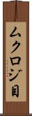 ムクロジ目 Scroll