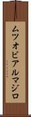 ムツオビアルマジロ Scroll