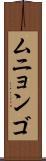 ムニョンゴ Scroll