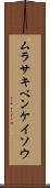 ムラサキベンケイソウ Scroll