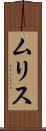 ムリス Scroll