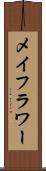 メイフラワー Scroll
