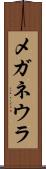 メガネウラ Scroll