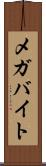 メガバイト Scroll