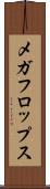 メガフロップス Scroll