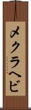 メクラヘビ Scroll