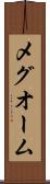 メグオーム Scroll