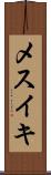 メスイキ Scroll
