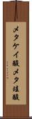メタケイ酸 Scroll