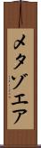 メタゾエア Scroll