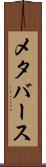 メタバース Scroll